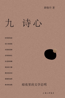 《九诗心：暗夜里的文学启明》书封